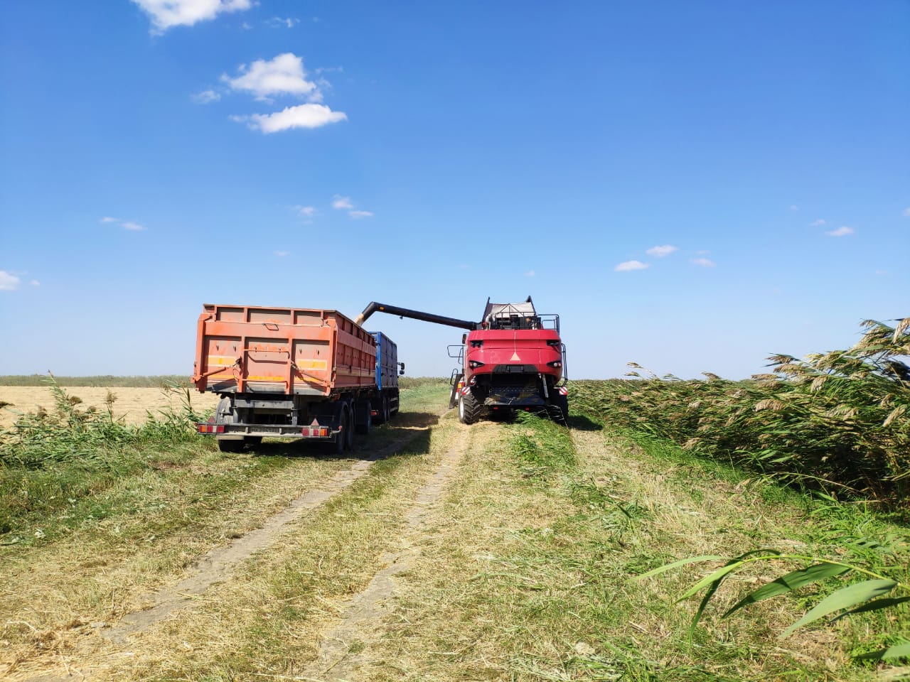 Гомсельмаш» продает новую модель комбайна на выгодных условиях в Самаре