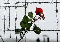 К Международному Дню освобождения узников фашистских лагерей