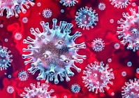 В связи с ситуацией распространения инфекции, вызванной коронавирусом 