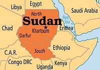 Мохамед Абдельазим: в Судане высокая потребность в уборочных комбайнах