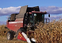 Поставка роторных зерноуборочных комбайнов GOMSELMASH GR700 в Россию