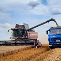 Новый рекорд за смену на зерноуборочном комбайне GOMSELMASH GS2124